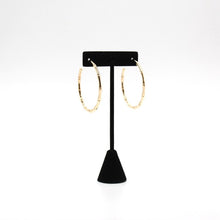 Load image into Gallery viewer, BAMBOO SHAPED HOOP EARRINGS - Exotica Luxe Boutique